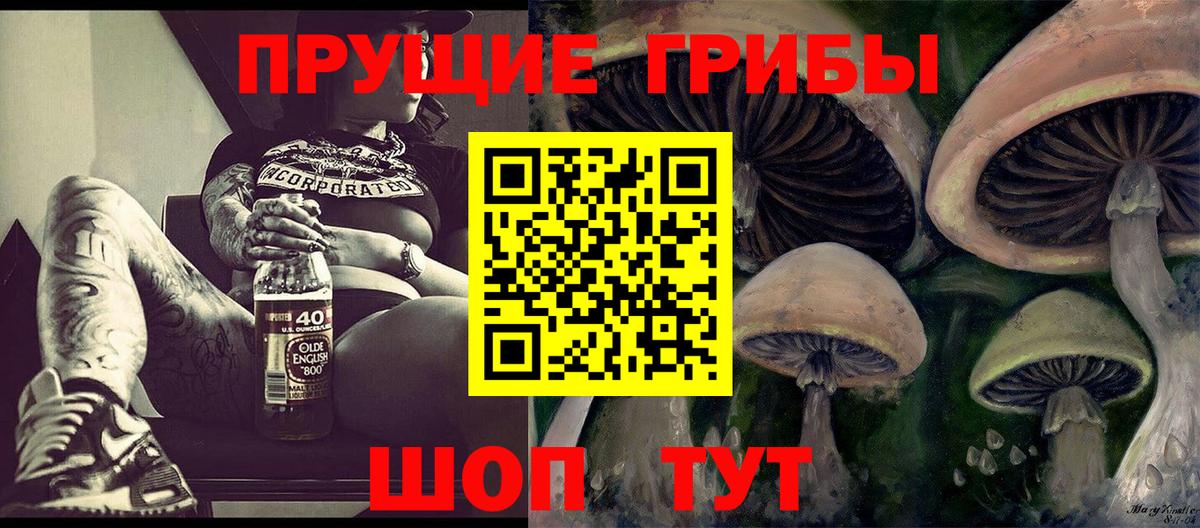 Кириши  Галлюциногенные грибы прущие грибы  Псилоцибиновые грибы MAGIC MUSHROOMS  Вход с VPN 