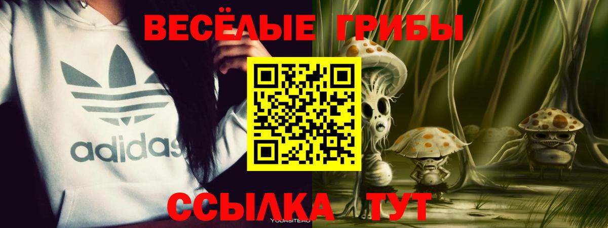 Галлюциногенные грибы мухоморы Кириши